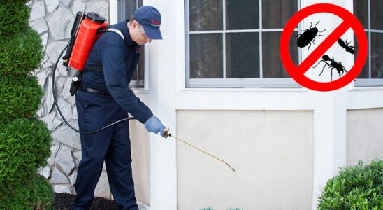 Bayındır Dezenfeksiyon böcek ilaçlama ve haşere kontrolü — ilaclama-tr.com